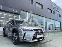 2021 Lexus UX