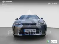 2021 Lexus UX
