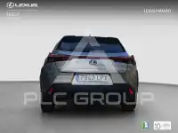 2021 Lexus UX