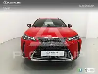2021 Lexus UX