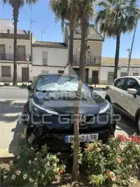 2021 Toyota CHR