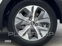 2021 KIA Niro