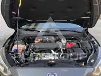 2021 Ford FOCUS