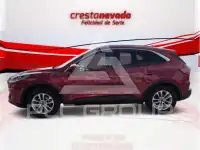 2021 Ford Kuga