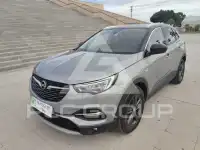 2021 Opel GrandlandX