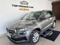 2022 Skoda Karoq