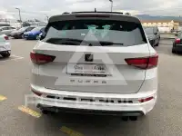 2022 Cupra Other