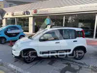 2022 Fiat Panda