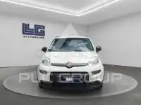 2022 Fiat Panda