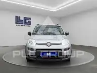 2022 Fiat Panda