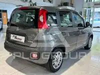 2022 Fiat Panda