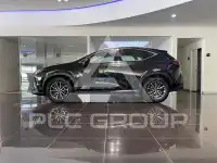 2022 Lexus NX