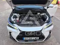 2022 Lexus NX