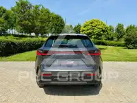 2022 Lexus NX