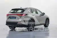 2022 Lexus NX