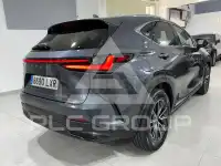 2022 Lexus NX