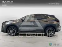2022 Lexus NX