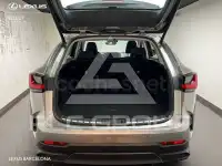 2022 Lexus NX