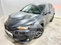 2022 Lexus NX