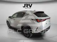 2022 Lexus NX