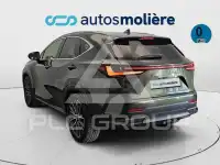 2022 Lexus NX