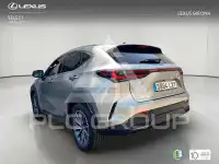 2022 Lexus NX