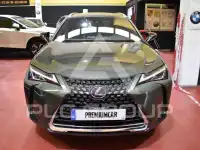 2022 Lexus UX