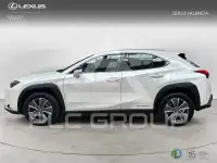 2022 Lexus UX
