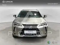 2022 Lexus UX