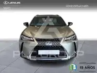 2022 Lexus UX