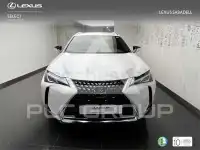2022 Lexus UX