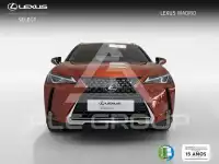 2022 Lexus UX