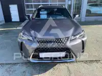 2022 Lexus UX