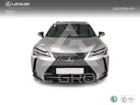 2022 Lexus UX