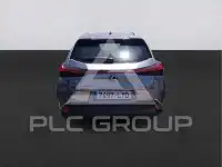 2022 Lexus UX