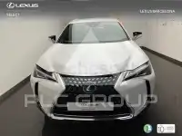 2022 Lexus UX