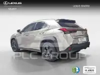 2022 Lexus UX