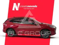 2022 Ford Kuga