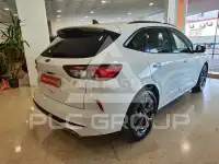 2022 Ford Kuga