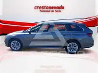 2023 Skoda Octavia
