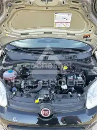 2023 Fiat Panda