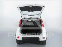 2023 Fiat Panda