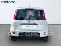 2023 Fiat Panda