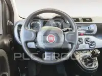 2023 Fiat Panda