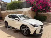 2023 Lexus NX