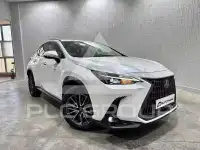 2023 Lexus NX