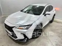 2023 Lexus NX
