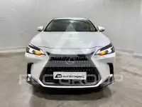 2023 Lexus NX