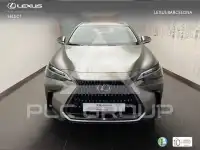 2023 Lexus NX