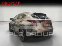 2023 Lexus NX